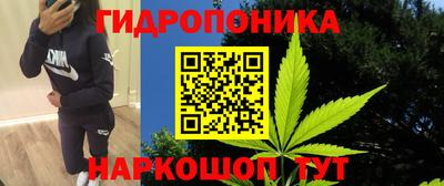 гашик Рыбинск