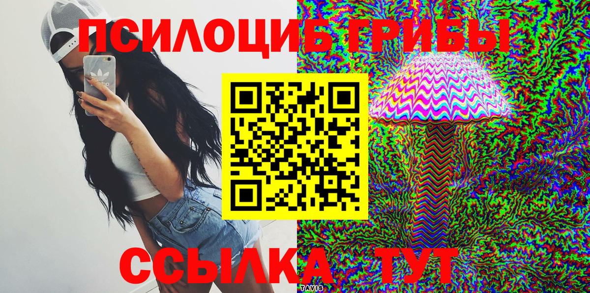 Псилоцибиновые грибы мицелий  Вход с VPN  Псилоцибиновые грибы мицелий  Приморско-Ахтарск 